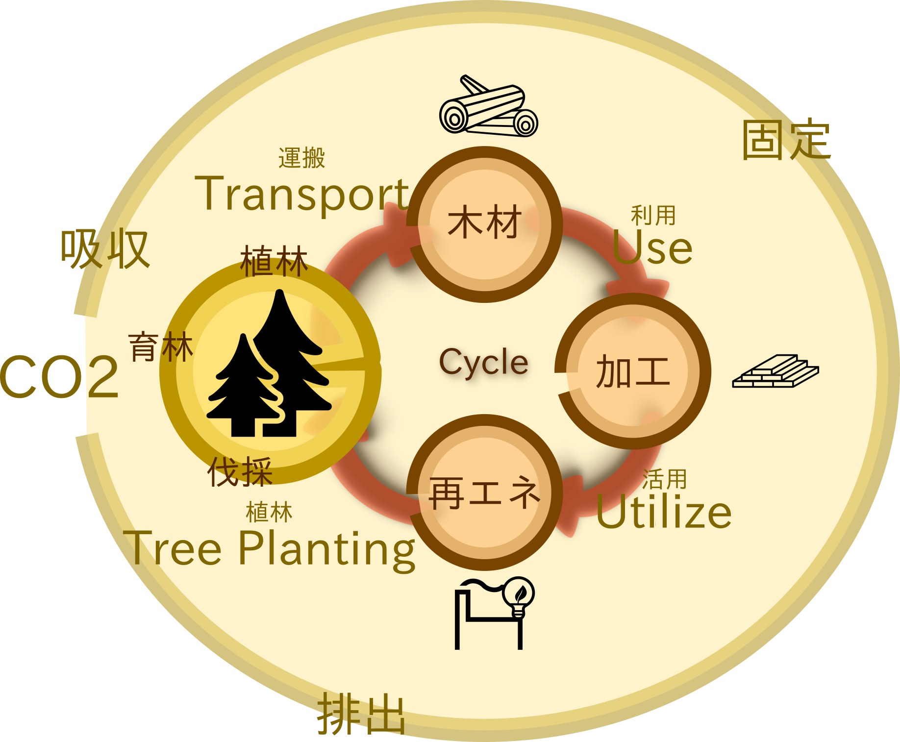 林業サイクル